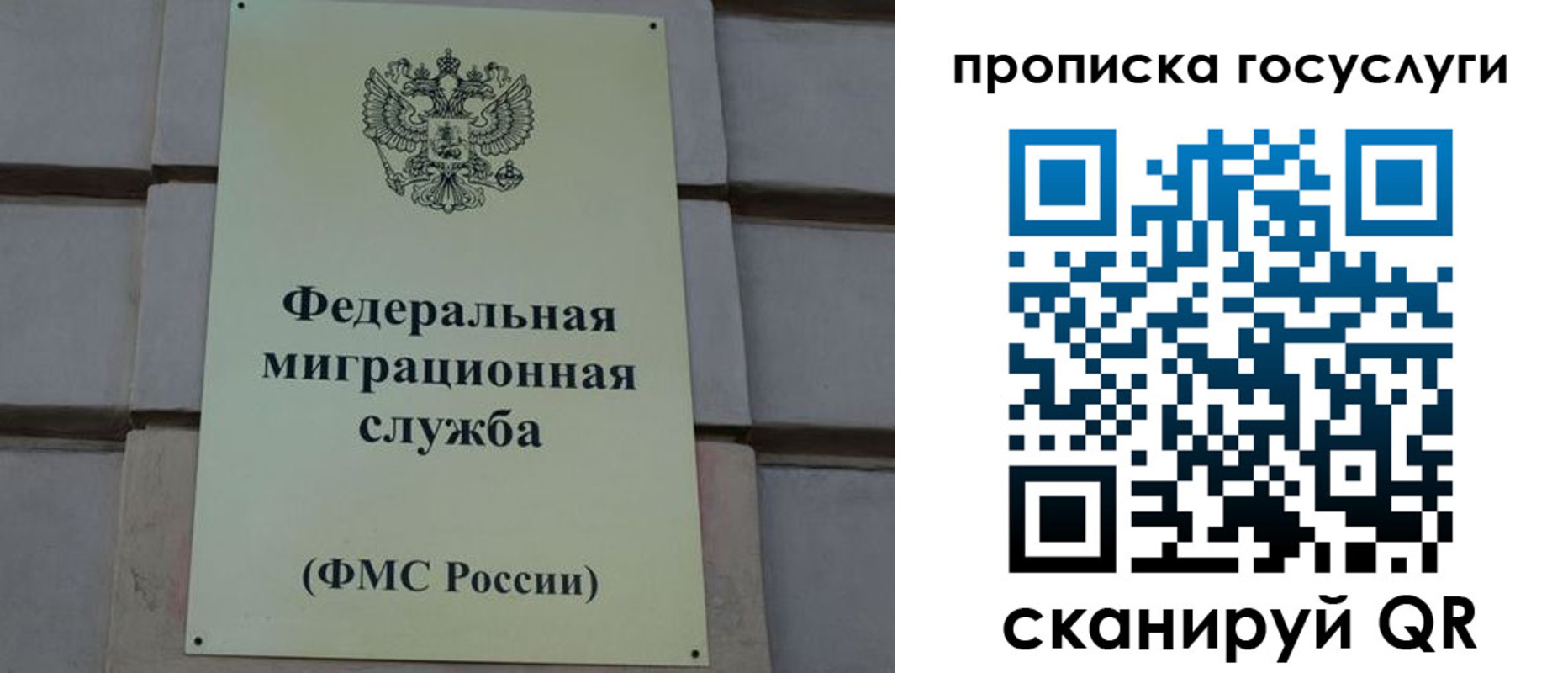 прописка ребенка в Александровске
